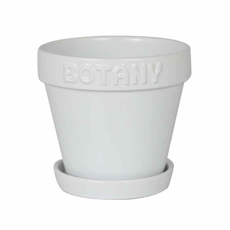 BOTANY POT 5