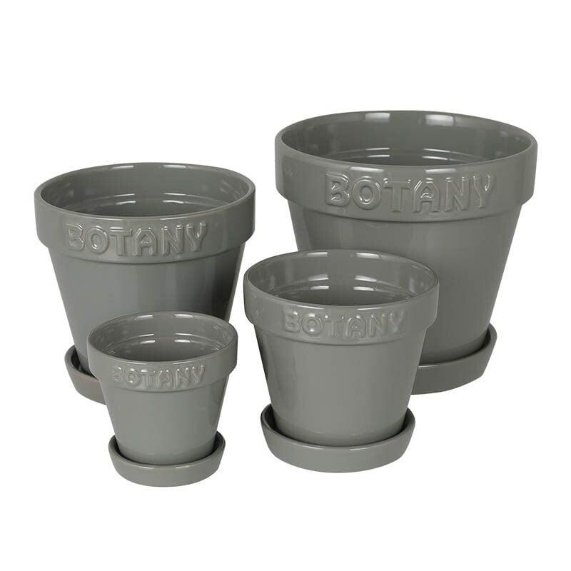 BOTANY POT 5