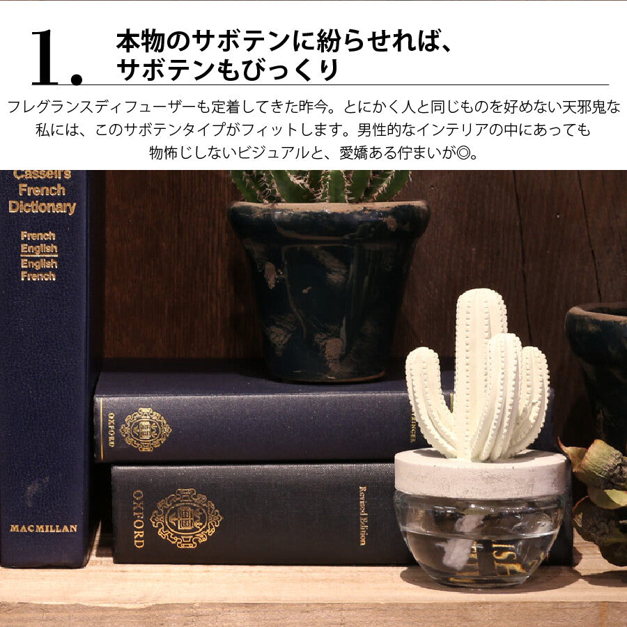 カクタス フレグランスディフューザー
