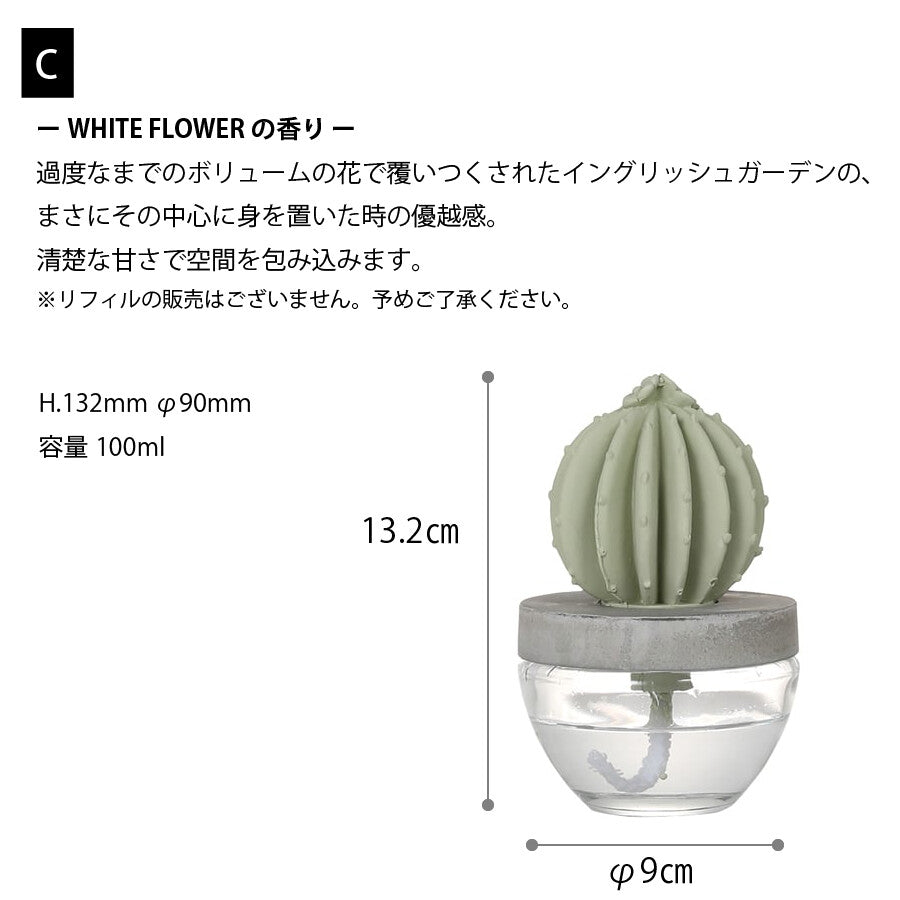 カクタス フレグランスディフューザー