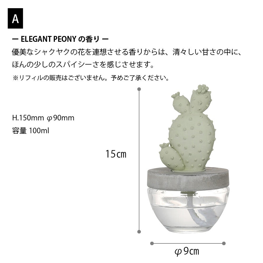 カクタス フレグランスディフューザー
