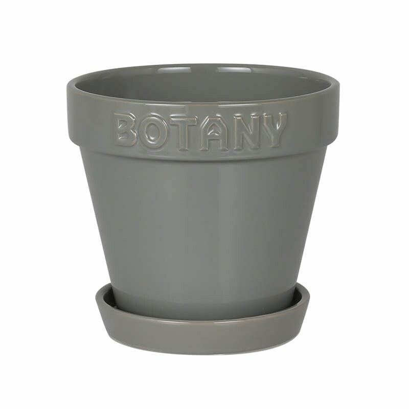 BOTANY POT 5